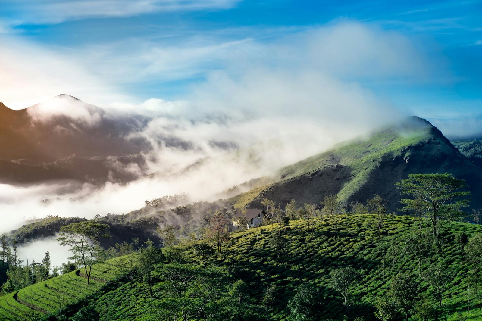Top 10 Tourist Places in Idukki